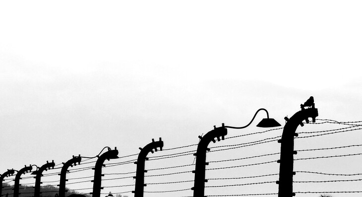 „Aasfresser“ (Birkenau; Erik Kostinec)