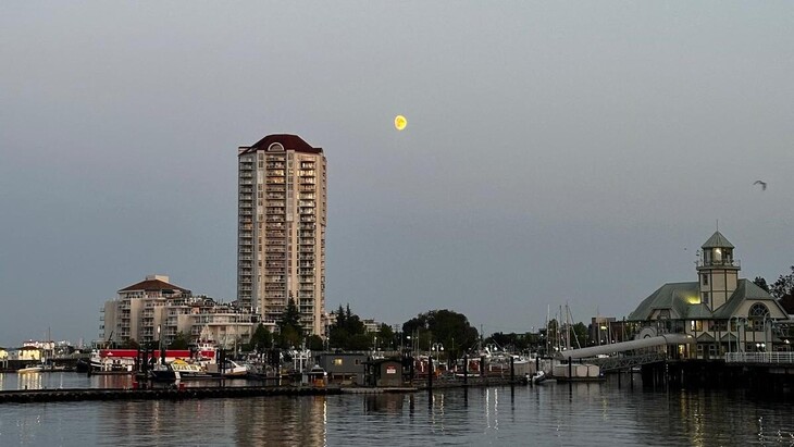 Abendstimmung am Hafen mit ruhigem Wasser im Vordergrund, in dem sich ein Hochhaus und Hafenlichter spiegeln, darüber ein gelblicher Mond am klaren Himmel und rechts ein beleuchtetes Gebäude mit Turm.