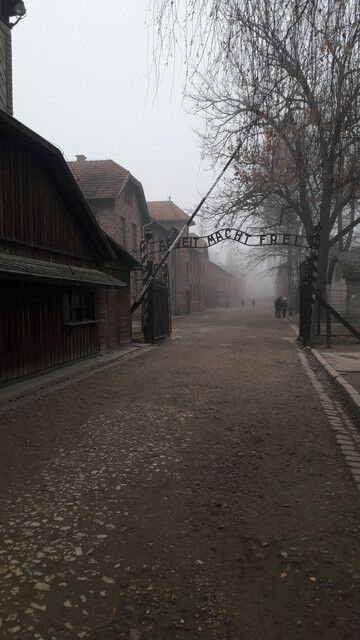 „Arbeit macht frei“ (Michael Korn)
