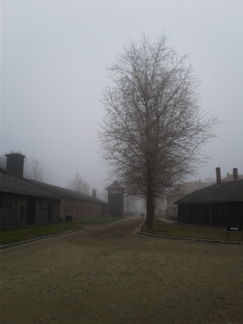 „stille Augenzeugen“ (Auschwitz I – Stammlager; Tom Schröder)