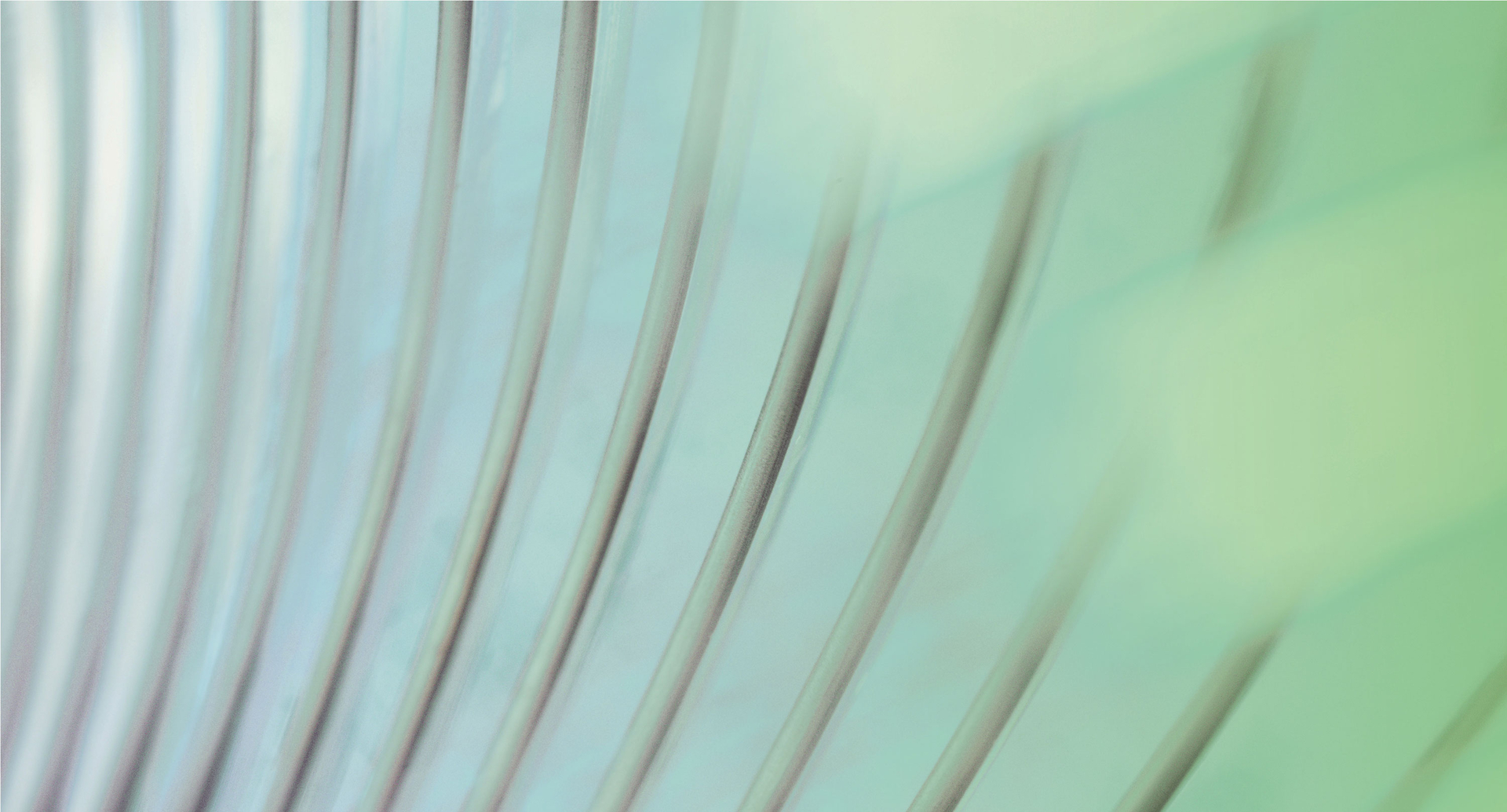 Hintergrund Bild