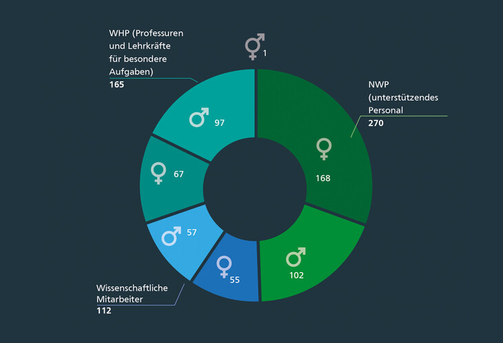 Kreisdiagramm zu Beschäftigtenzahlen 2024