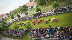 Live auf dem Hochschulcampus: Der Halbkugelversuch Otto-von-Guerickes. Foto: Matthias Piekacz