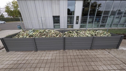 zwei Kompostmieten auf dem Campusgelände mit frischen Grünschnitt