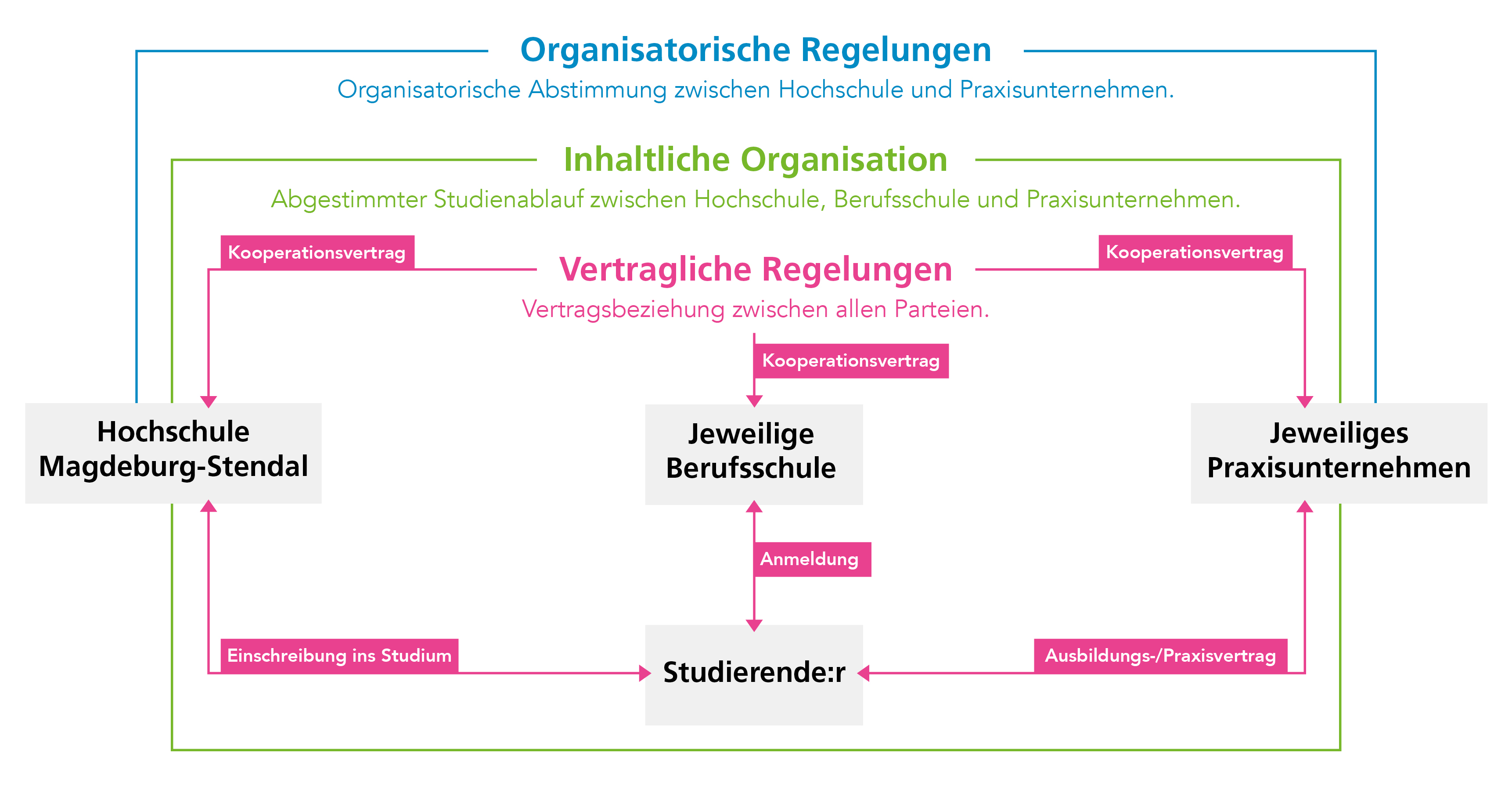 Infografik zum dualen Studium mit den Bereichen organisatorische, inhaltliche und vertragliche Regelungen zwischen Hochschule Magdeburg-Stendal, Berufsschule, Praxisunternehmen und Studierenden.