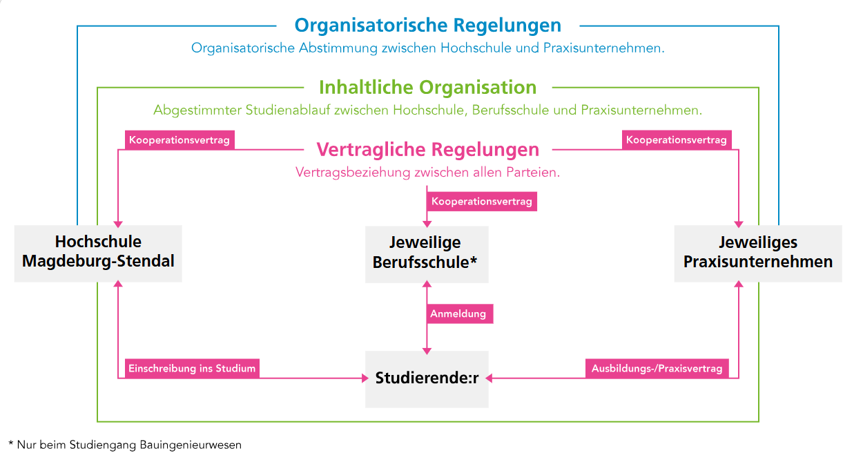 Infografik zum dualen Studium mit den Bereichen organisatorische, inhaltliche und vertragliche Regelungen zwischen Hochschule Magdeburg-Stendal, Berufsschule, Praxisunternehmen und Studierenden.