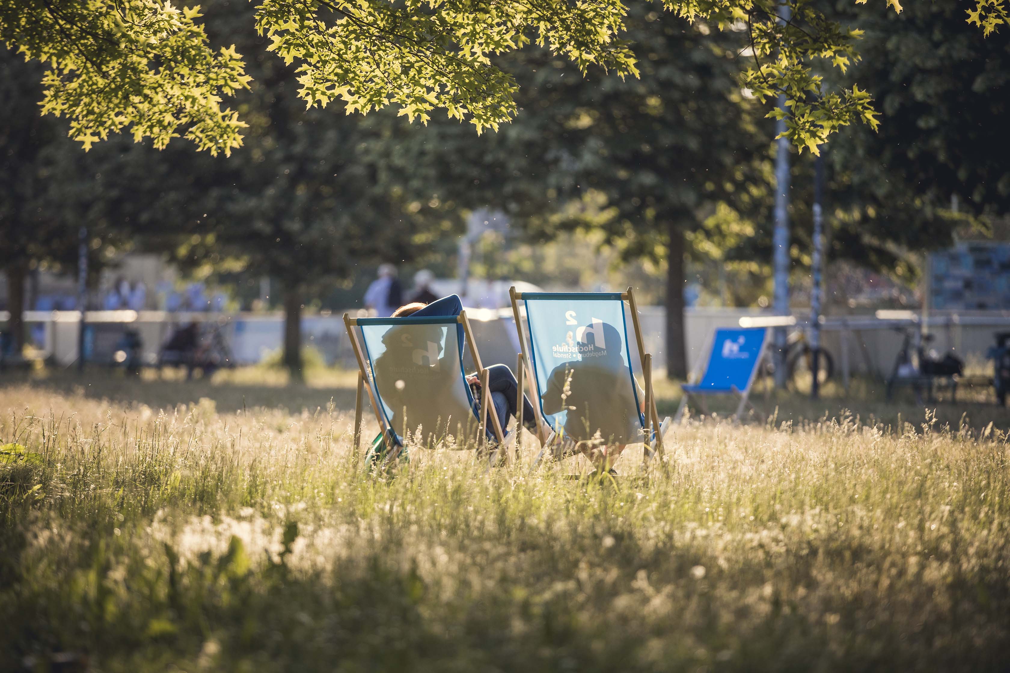 Zwei Liegestühle stehen auf einer sonnigen Wiese in einem Park, umgeben von hohen Bäumen; im Hintergrund sind verschwommen Menschen und Fahrräder zu sehen.