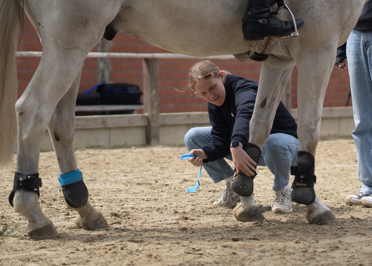 Kleine Sensoren am Pferdebein liefern Daten zur Bewegung und Belastung auf verschiedenen Reitböden. Foto: Cara Hagen